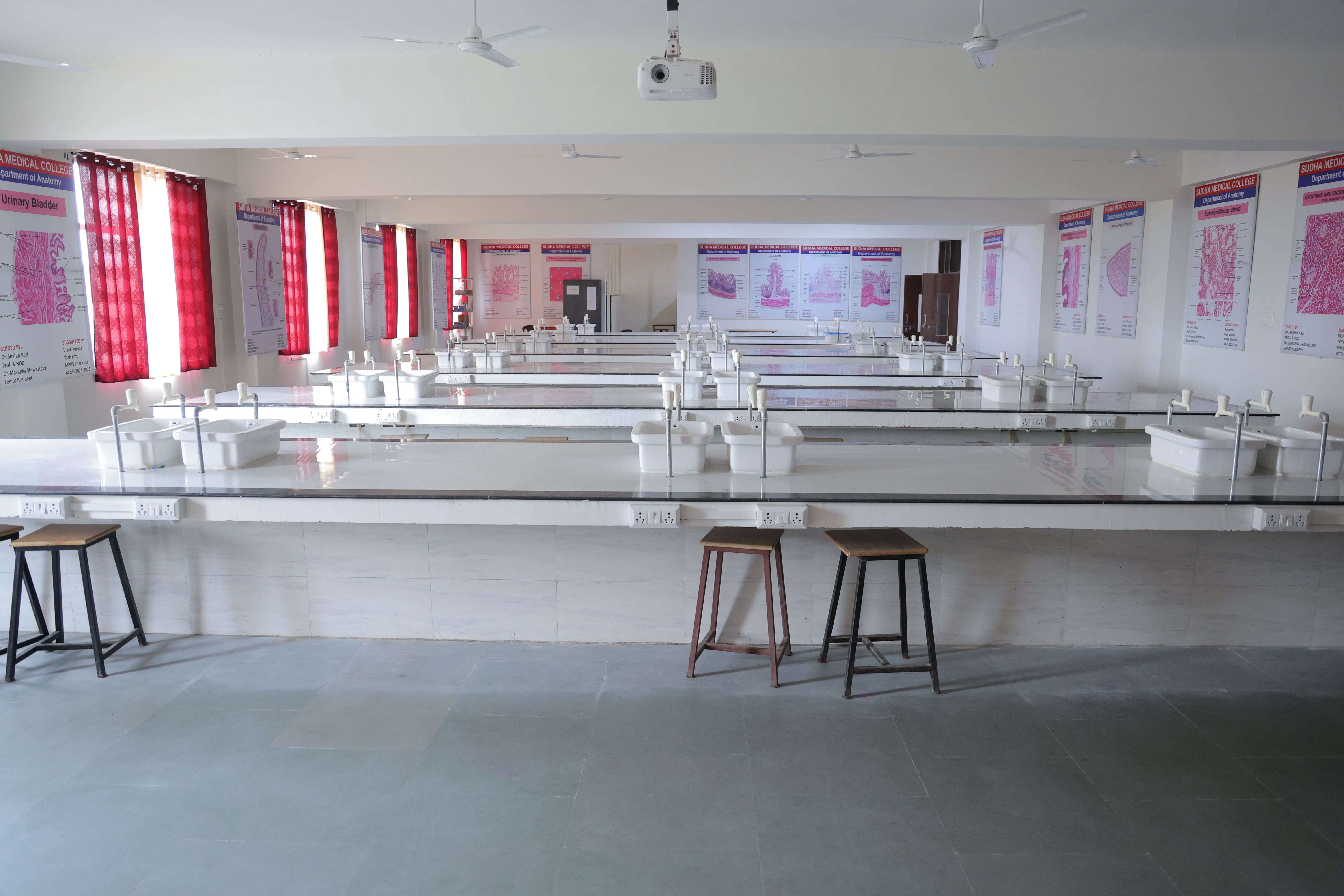 Anatomy department image