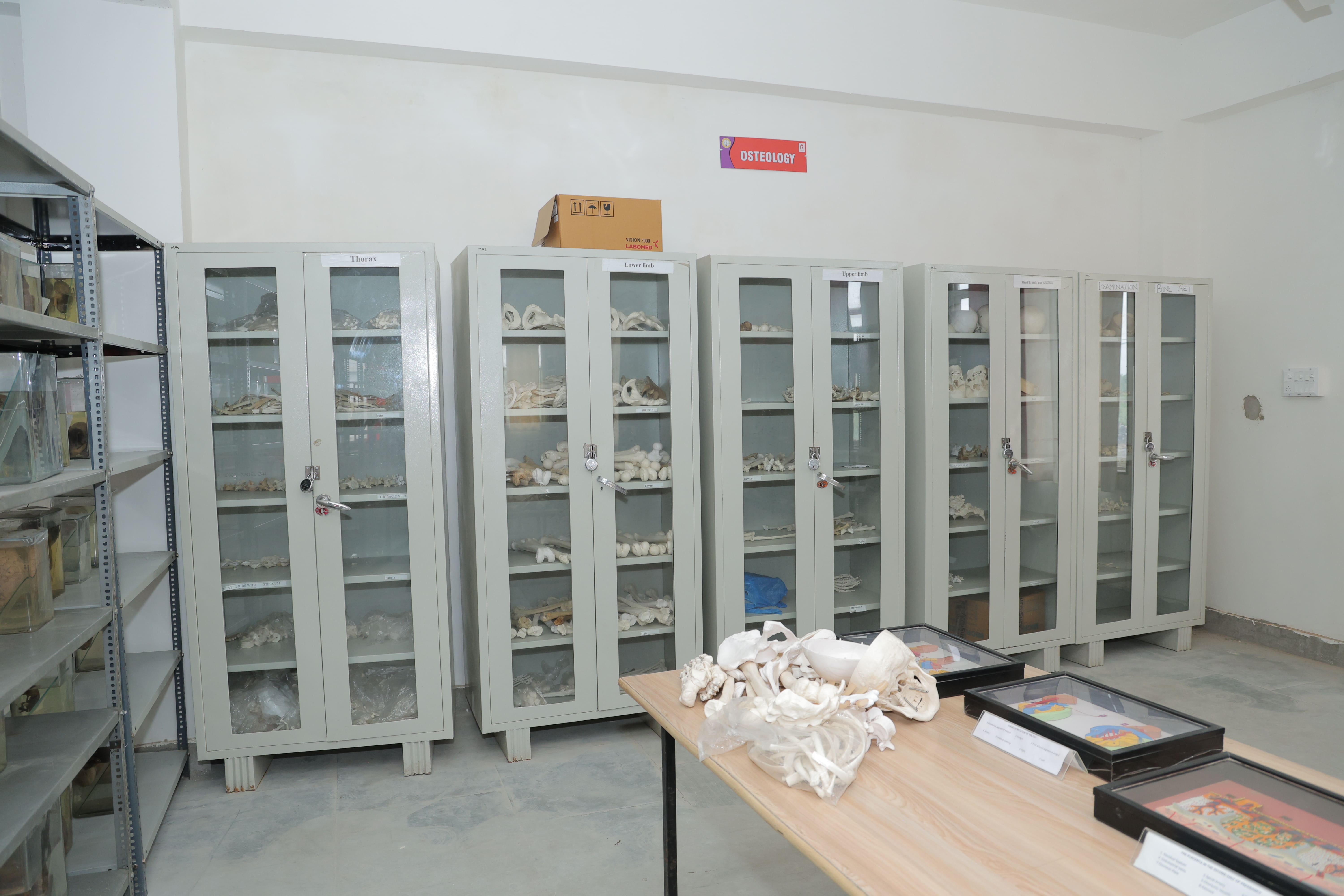 Anatomy department image