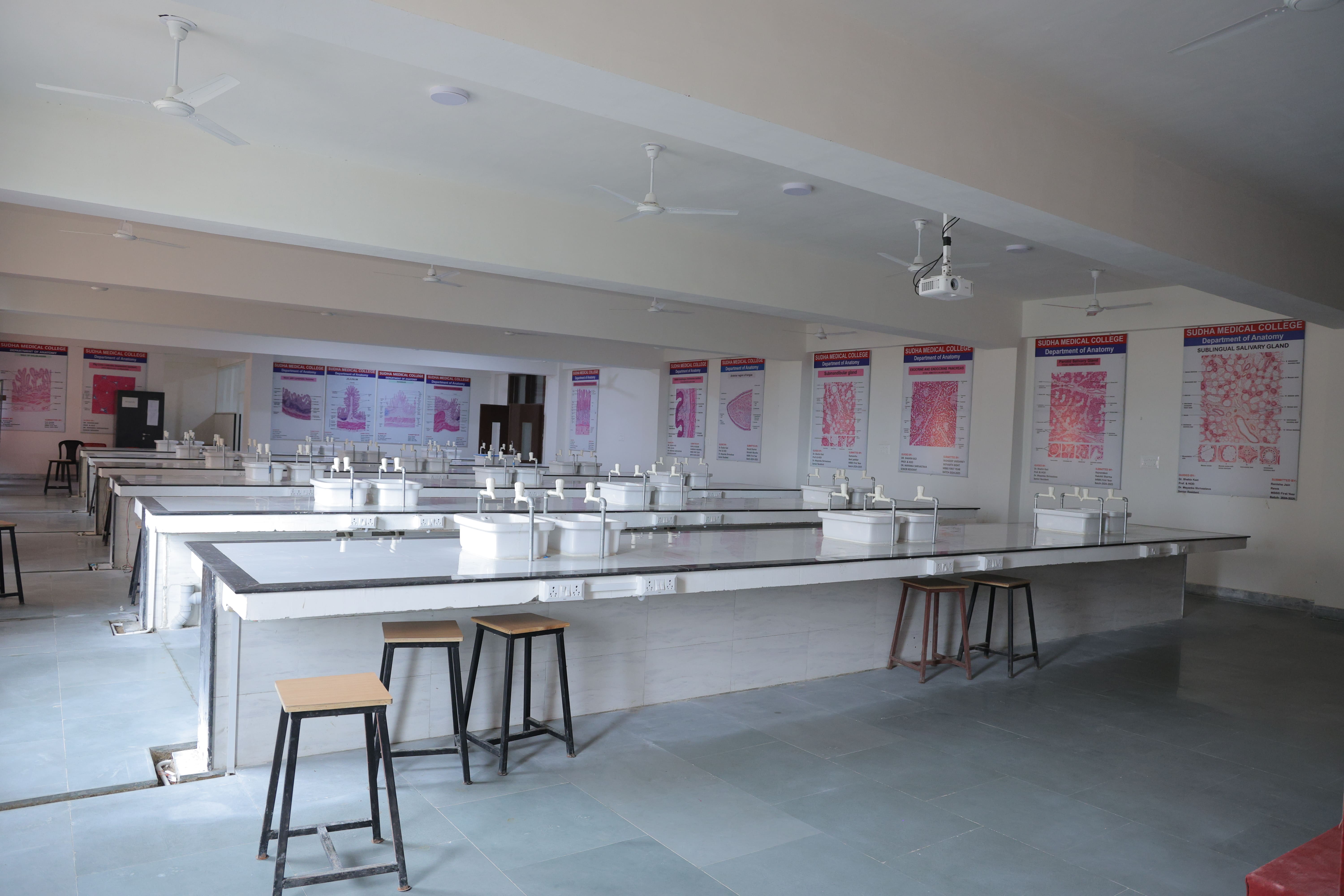 Anatomy department image