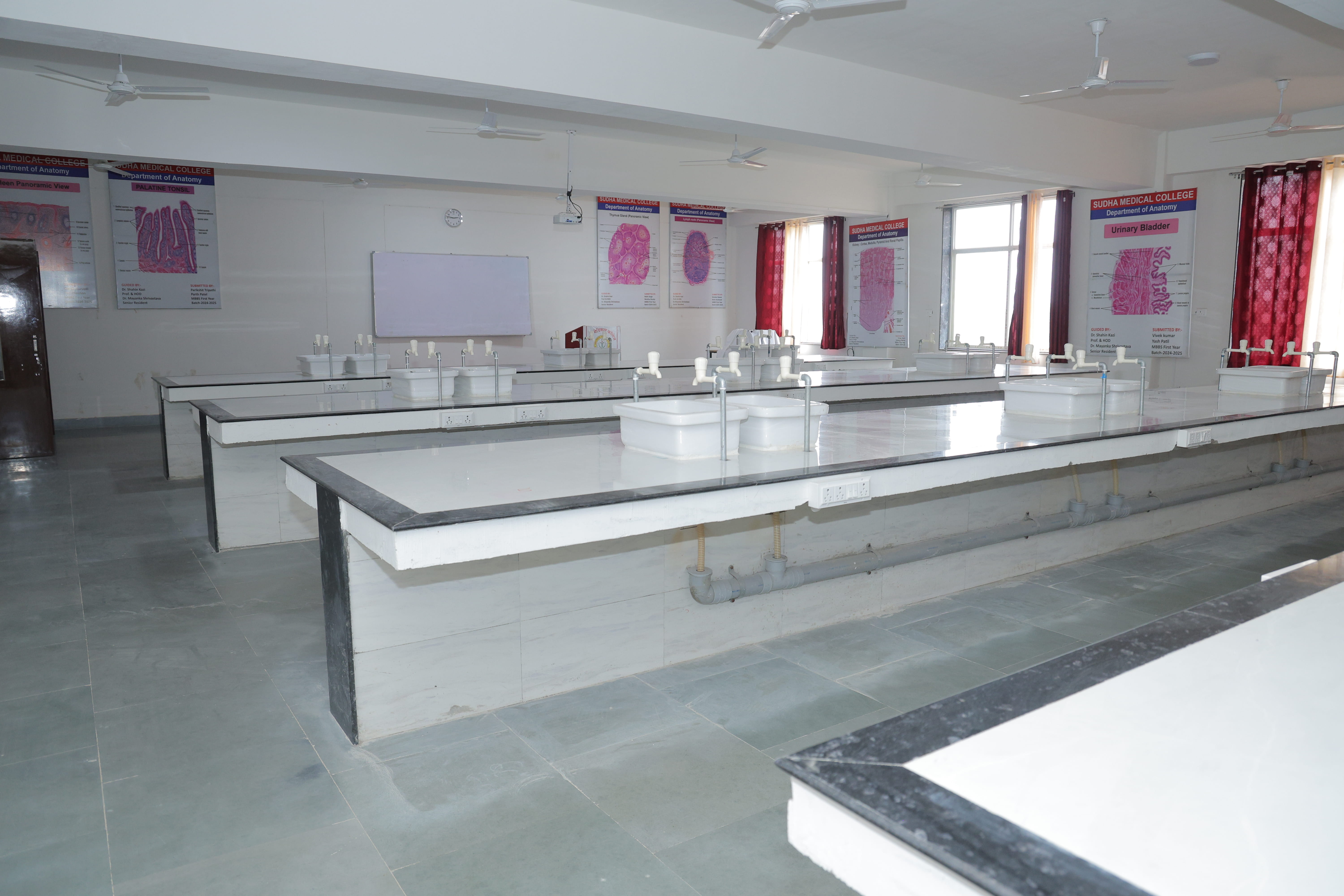 Annual Function gallery image